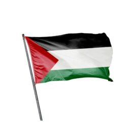 drapeau palestine