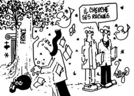 MiegeIIcherchesesracines