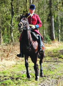 VerschooteJeromequadri